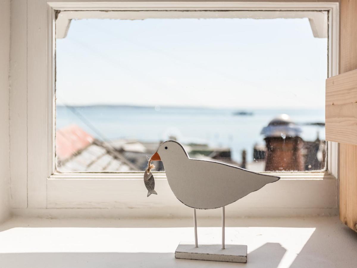 Mole Cottage マウスホール エクステリア 写真